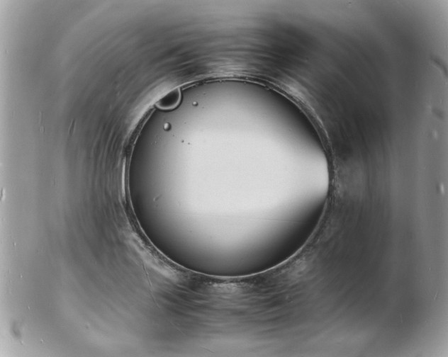 X0000103291227200808291326