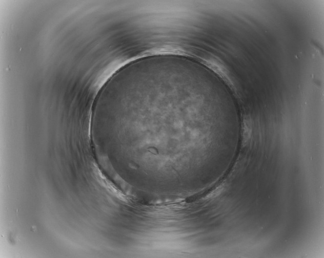 X0000103291228200808291326