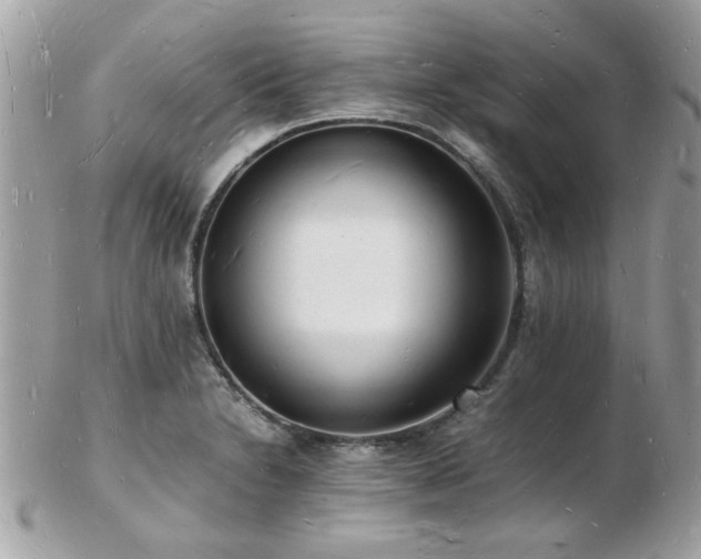 X0000103291230200808291326