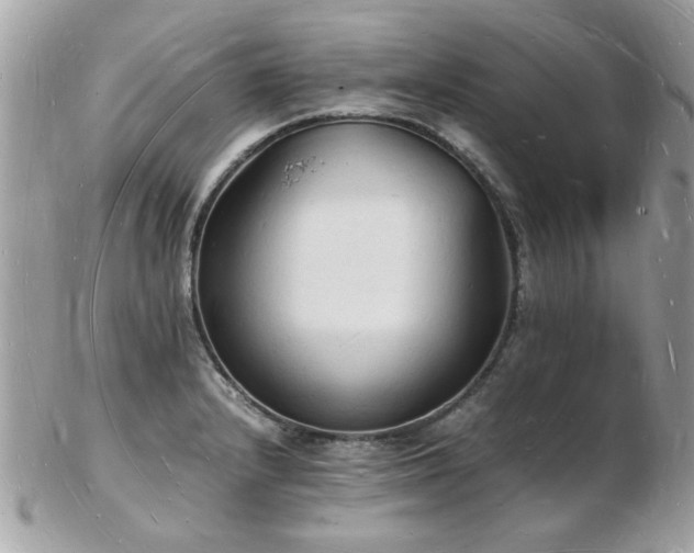 X0000103291232200808291326