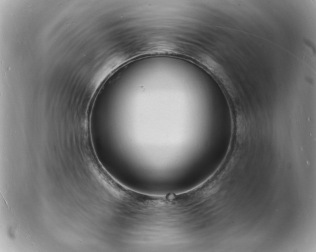 X0000103291234200808291326