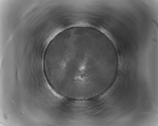 X0000103291237200808291326