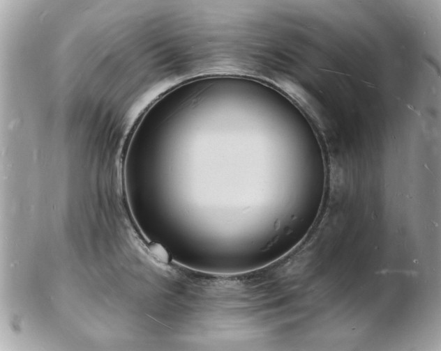 X0000103291238200808291326