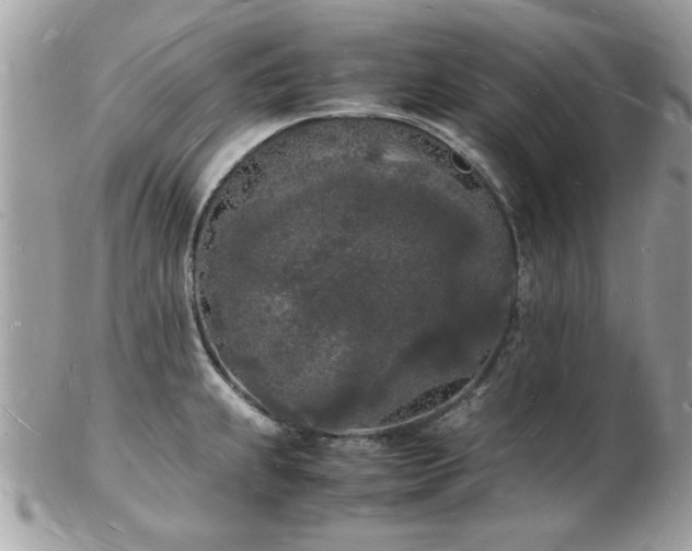 X0000103291239200808291326