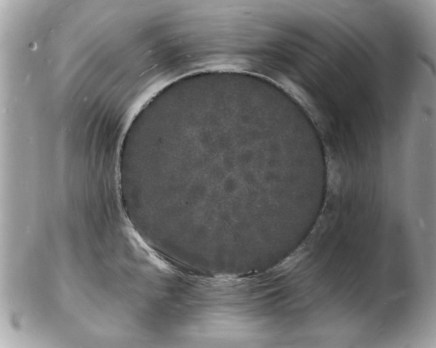 X0000103291240200808291326