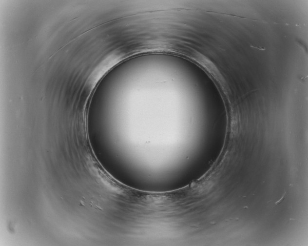 X0000103291242200808291326