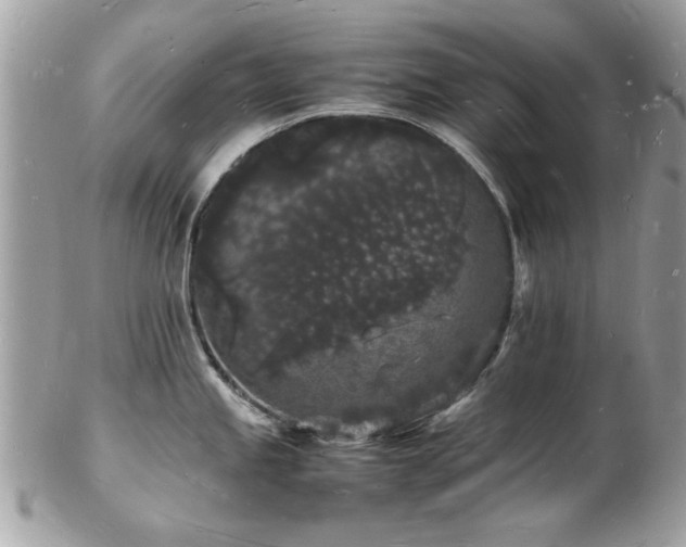 X0000103291245200808291326