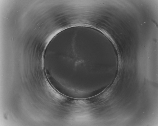 X0000103291246200808291326