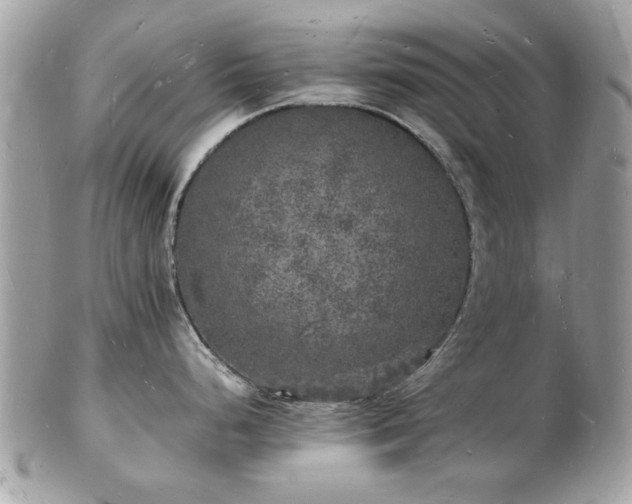 X0000103291248200808291326