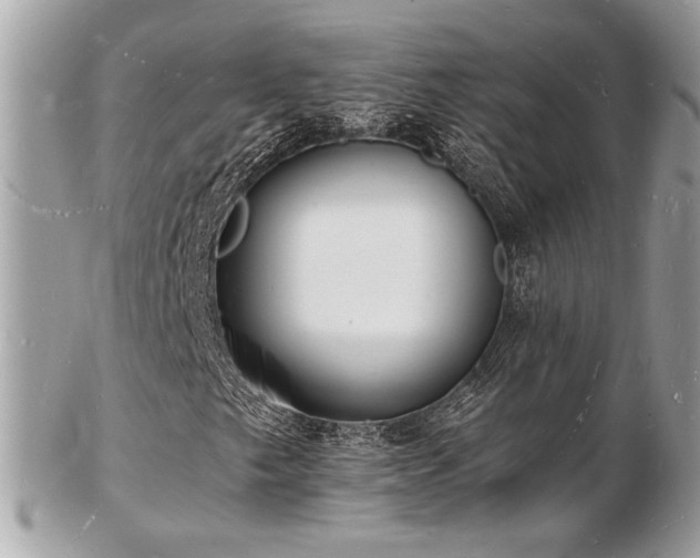 X0000103291249200808291326