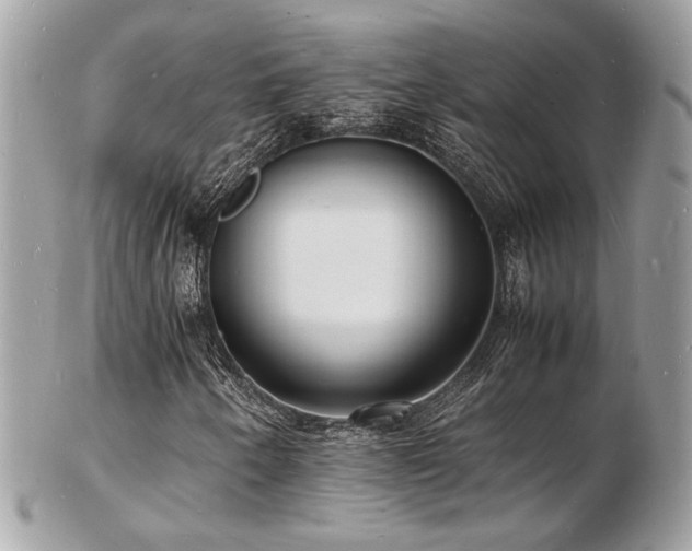 X0000103291250200808291326