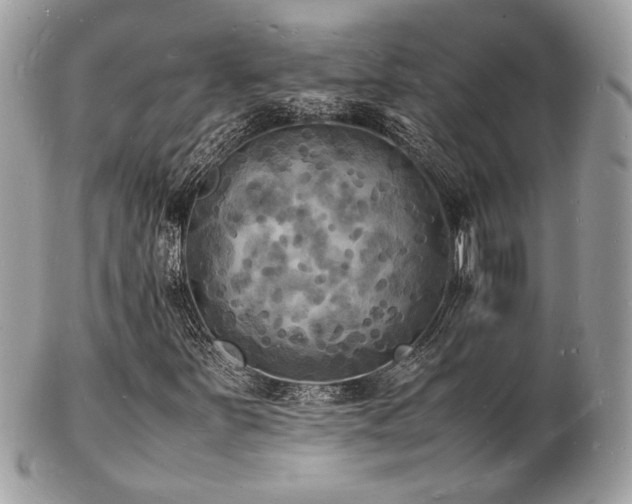 X0000103291251200808291326