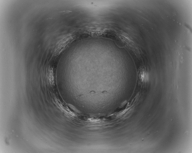 X0000103291252200808291326