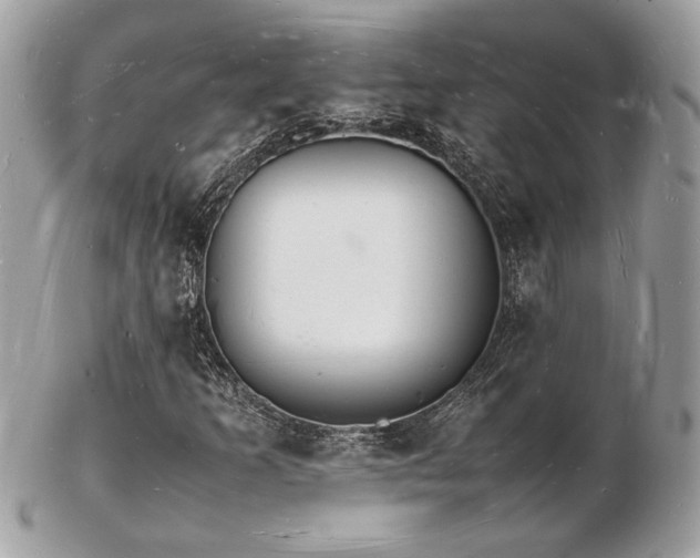 X0000103291253200808291326