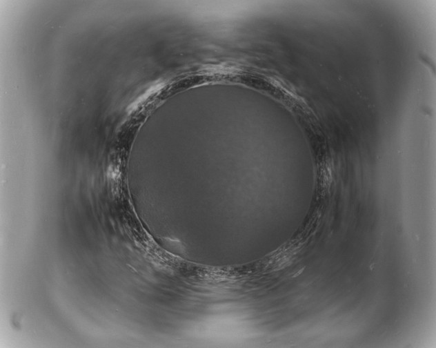 X0000103291254200808291326
