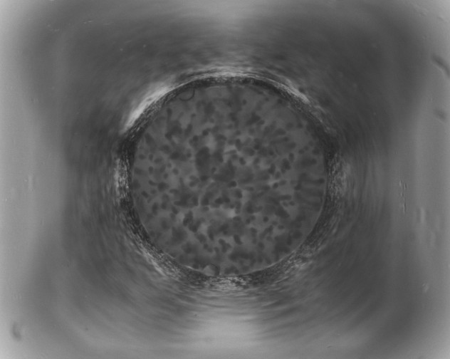 X0000103291255200808291326