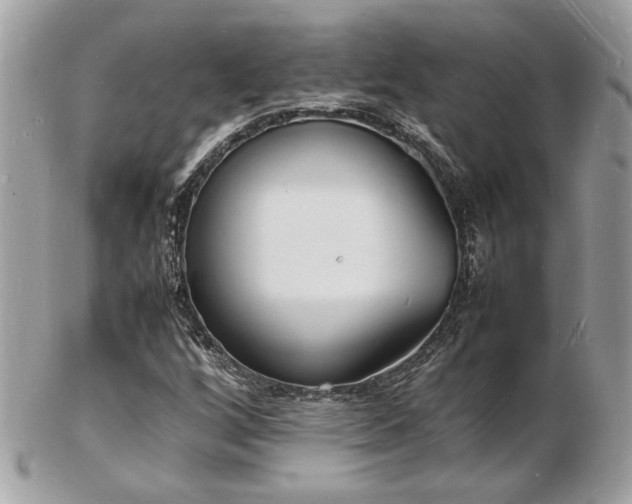 X0000103291256200808291326