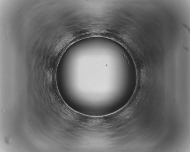 X0000103291257200808291326