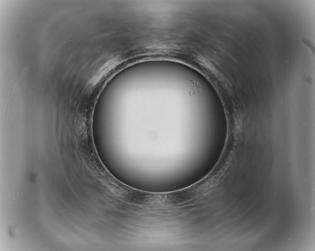 X0000103291259200808291325