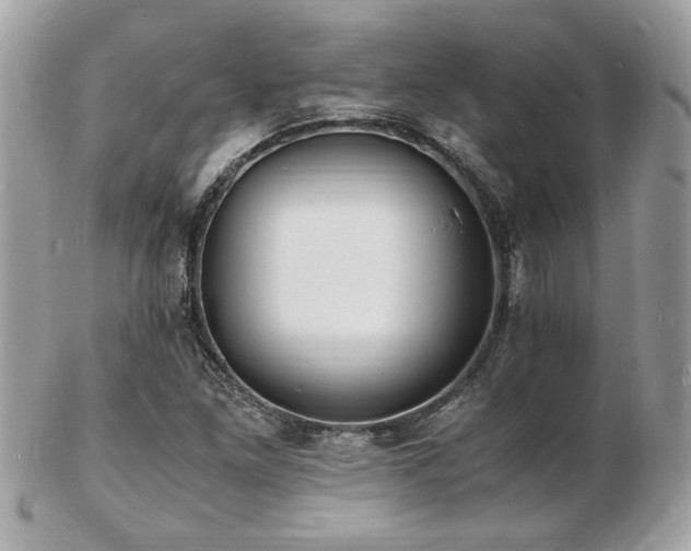 X0000103291261200808291325