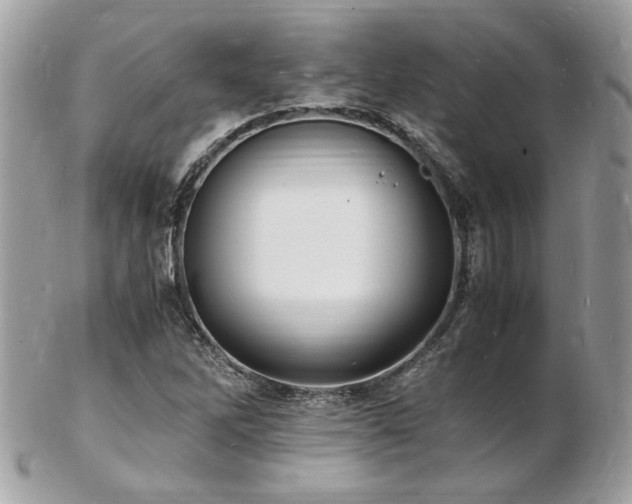 X0000103291262200808291325