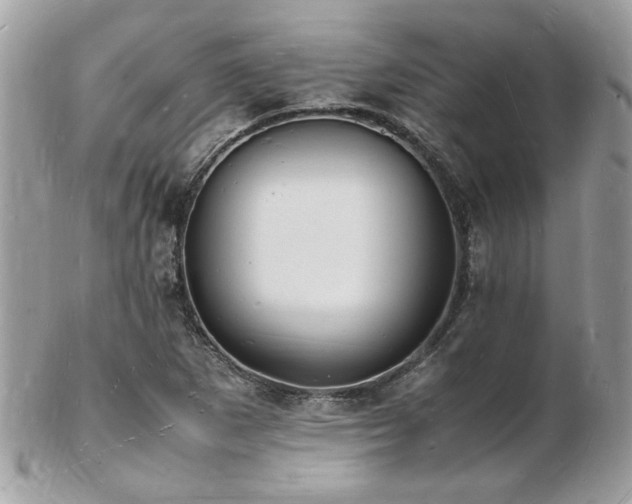X0000103291265200808291325