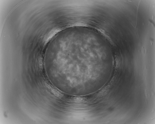 X0000103291266200808291325