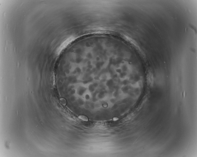 X0000103291267200808291325