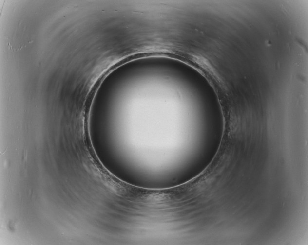 X0000103291268200808291325