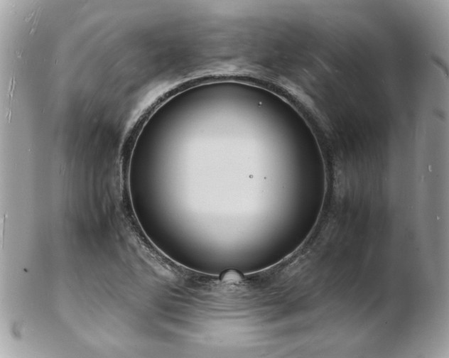 X0000103291270200808291325