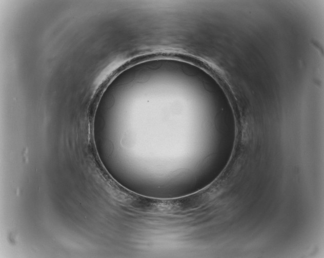 X0000103291271200808291325