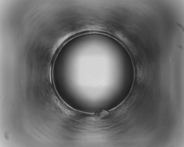 X0000103291272200808291325