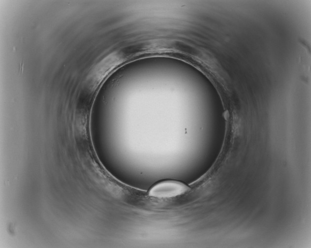 X0000103291273200808291325