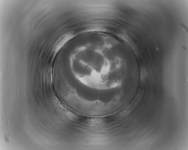 X0000103291274200808291325