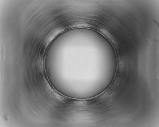 X0000103291282200808291325