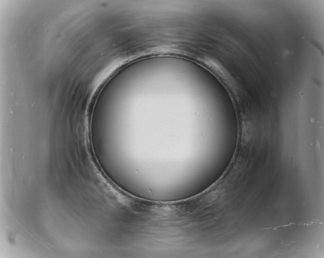 X0000103291286200808291325