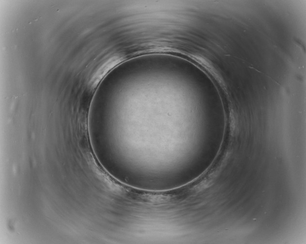 X0000103291289200808291325