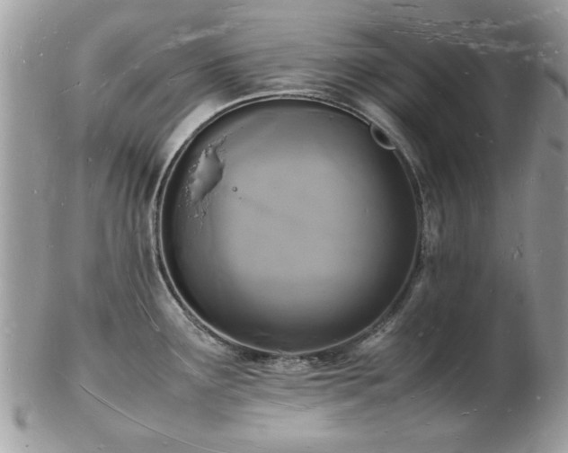 X0000103291291200808291325