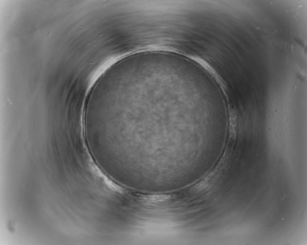 X0000103291294200808291325