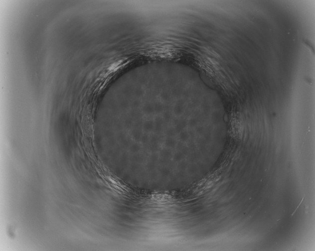 X0000103291297200808291324