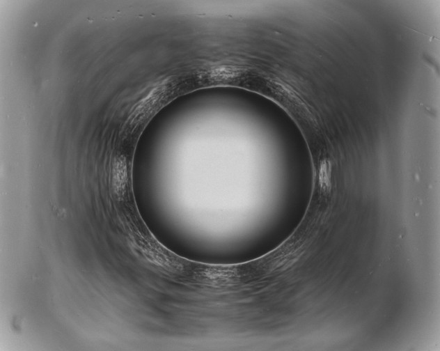 X0000103291299200808291324
