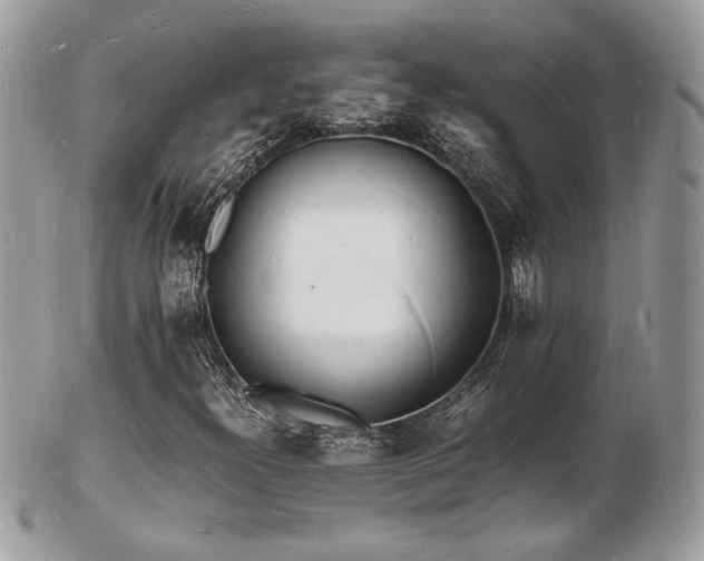 X0000103291300200808291324