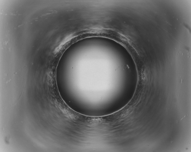 X0000103291304200808291324