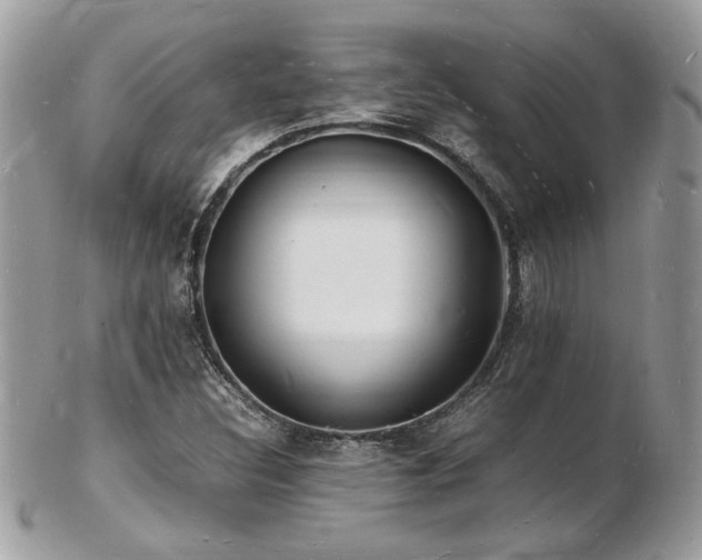 X0000103291308200808291324
