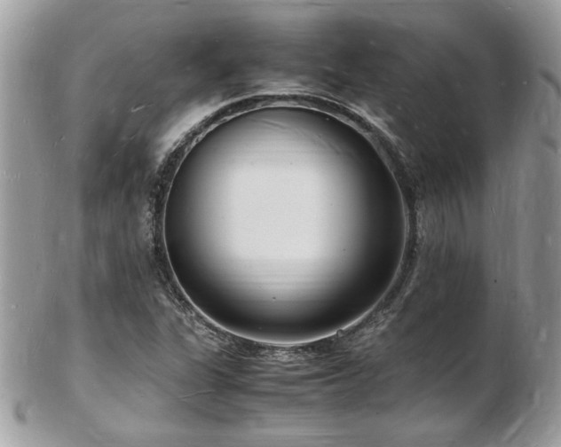 X0000103291311200808291325