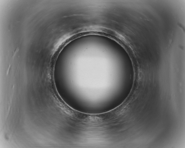 X0000103291312200808291325