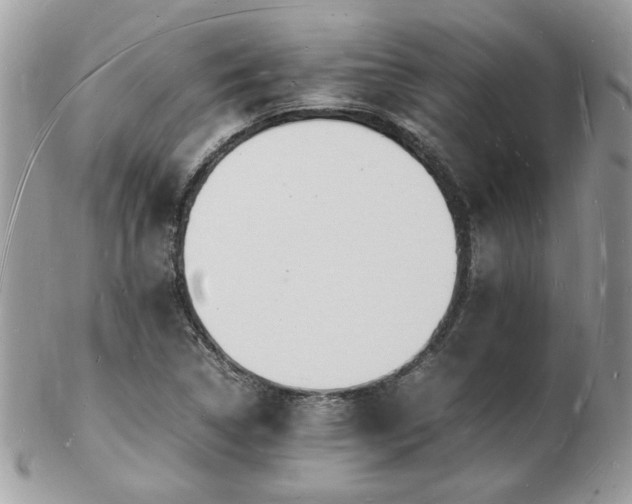 X0000103291314200808291325