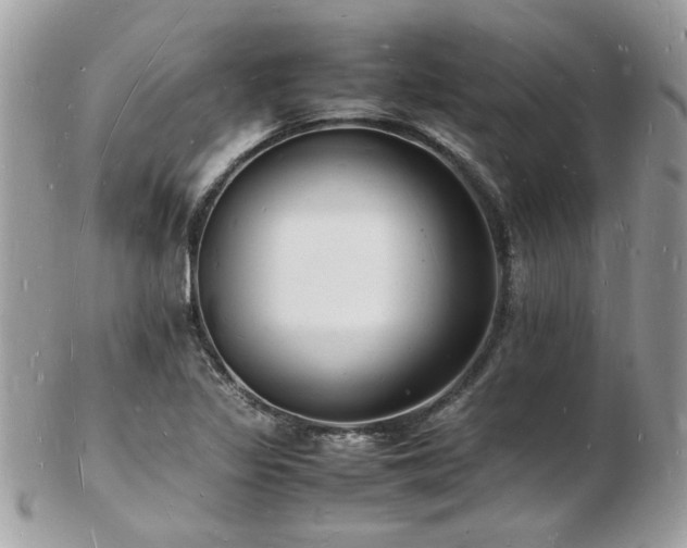 X0000103291317200808291325