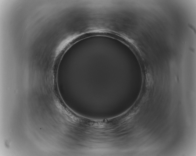 X0000103291319200808291325