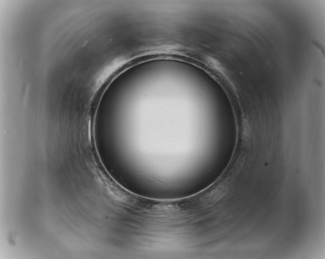 X0000103291320200808291325